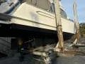 36 ft Timber Cruiser