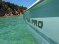Sea Pro 238 WA
