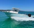 Sea Pro 238 WA