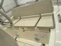 Nuova Jolly NJ550