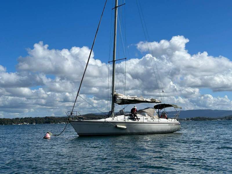 Dehler 36 Cws
