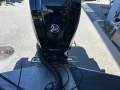 Stabicraft 529 WXR 2024 100hp Mercury and new trailer