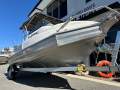 Stabicraft 529 WXR 2024 100hp Mercury and new trailer