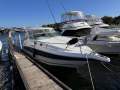 Mustang 3200LE Sportscruiser NEAT AND CLEAN, TWIN 5.7L MERCRUISER SHAFT DRIVES