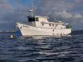 Stewart Ex Cray Boat Long Range Fibreglass Motor Cruiser