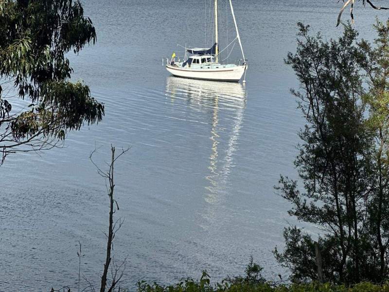 Salar 40