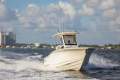 New Scout 260LXF