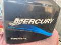 Mercury salt water