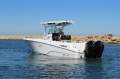 Wellcraft 262 Centre Console with Twin 225Hp Mercury Outboards