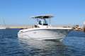 Wellcraft 262 Centre Console with Twin 225Hp Mercury Outboards