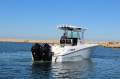 Wellcraft 262 Centre Console with Twin 225Hp Mercury Outboards