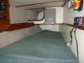 Arends 33