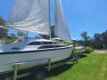 Macgregor 26M
