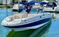 Chaparral 254 Sunesta Bow Rider
