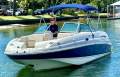 Chaparral 254 Sunesta Bow Rider