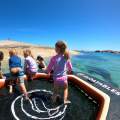 Floatables - Inflatable Docks, Hammocks & More!