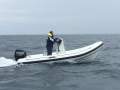 Fareast 480 RIB - In stock