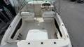 Sea Ray 215 Express Cruiser
