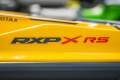 Sea-Doo RXP-X 300