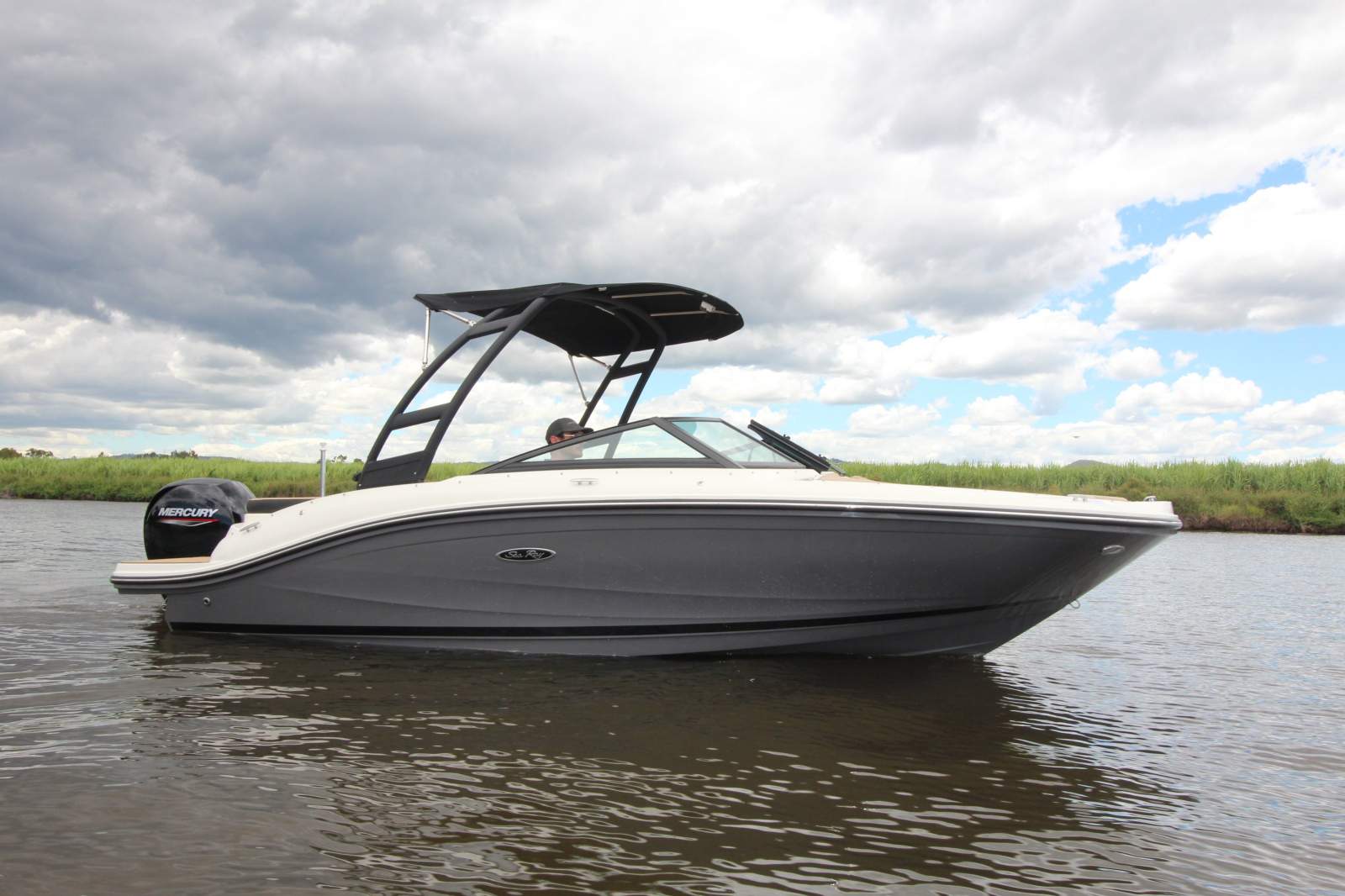 Sea Ray 190 SPX OB Bowrider