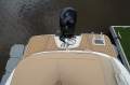 Sea Ray 190 SPX OB Bowrider