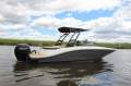 Sea Ray 190 SPX OB Bowrider