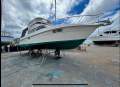 Seaquest 3600 Sports Bridge