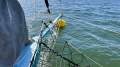 Grainger Custom Carbon Fibre Trimaran