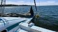 Grainger Custom Carbon Fibre Trimaran