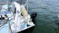 Grainger Custom Carbon Fibre Trimaran