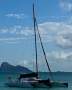 Grainger Custom Carbon Fibre Trimaran