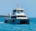 Rebel Tour Business and Ferry Service