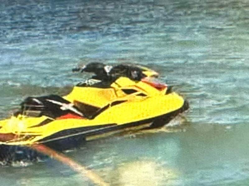 Sea-Doo RXT 260RS With Trailer