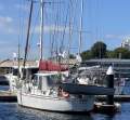 Breekveldt 43 Pilothouse "Avior"