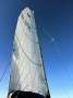 Macgregor 26M:Sailing on the mainsail