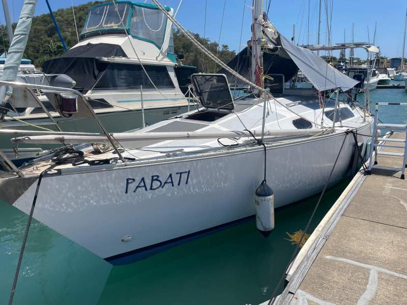 Dolphin 31 Custom