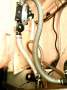 Swanson 38 with Cutter stay
