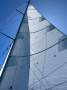 Swanson 38 with Cutter stay