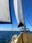 Swanson 38 with Cutter stay