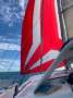 Chamberlin Performance Cruising 12.4m
