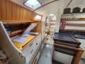 Ganley Tara 39