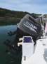 SPORTFISHING CHARTER VESSEL AND BUSINESS FOR SALE