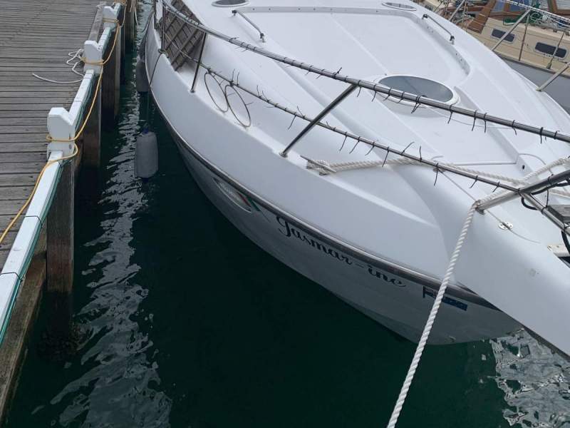 Sessa Oyster 38