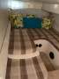 Sessa Oyster 38