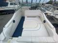 Sea Ray 230