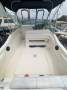 Sea Ray 230
