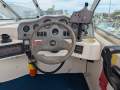 Sea Ray 230