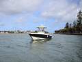Scout 235 Sportfish *** NIGHT VISION INSTALLED !! *** $ 94,000 ***