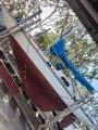 Griffin 36 Sloop Classic Yacht History Diesel (Rockhampton Qld)