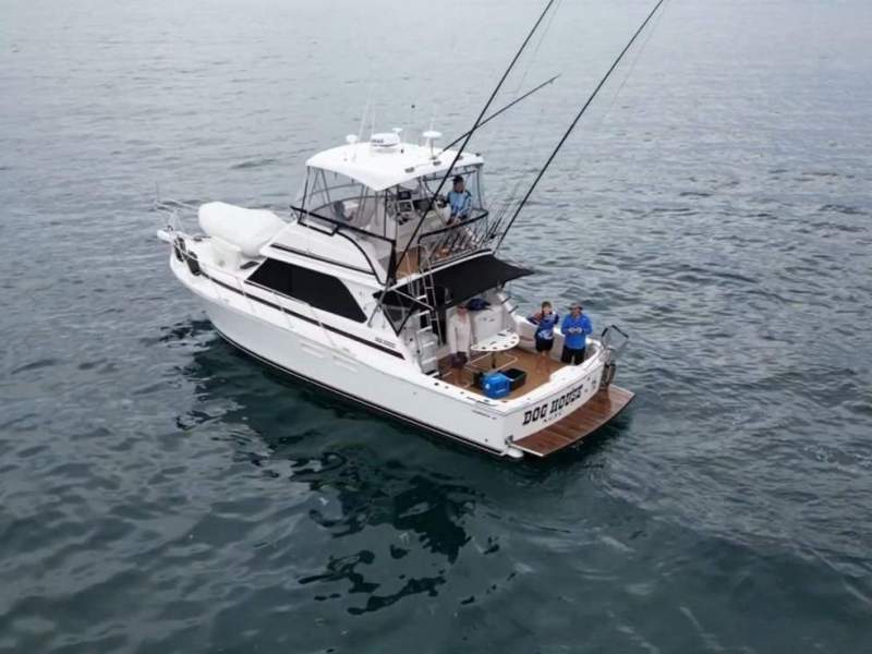 Caribbean 40 Flybridge Cruiser